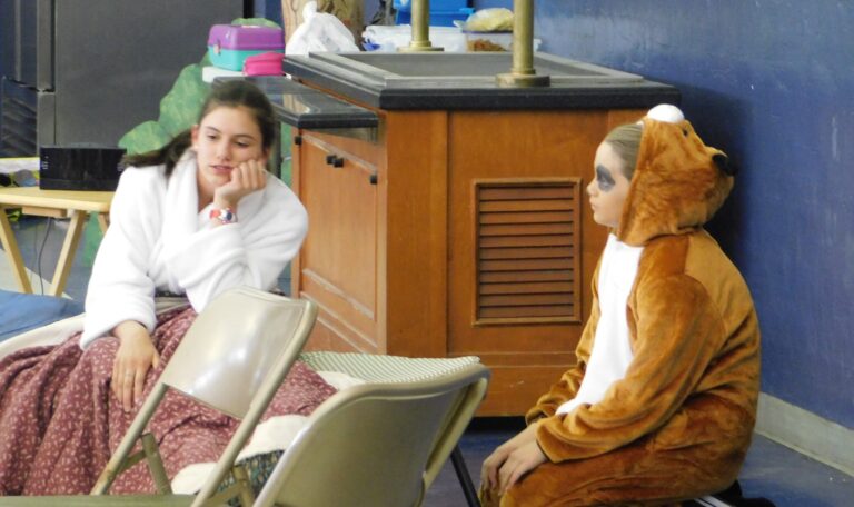 Students perform in school play wearing costumes