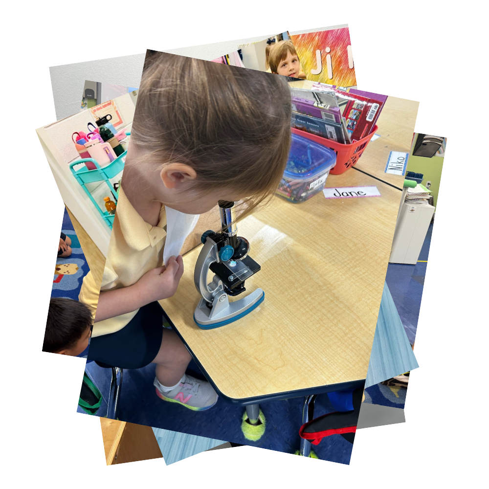 Collage of student life photos with preschooler looking through a microscope at her desk