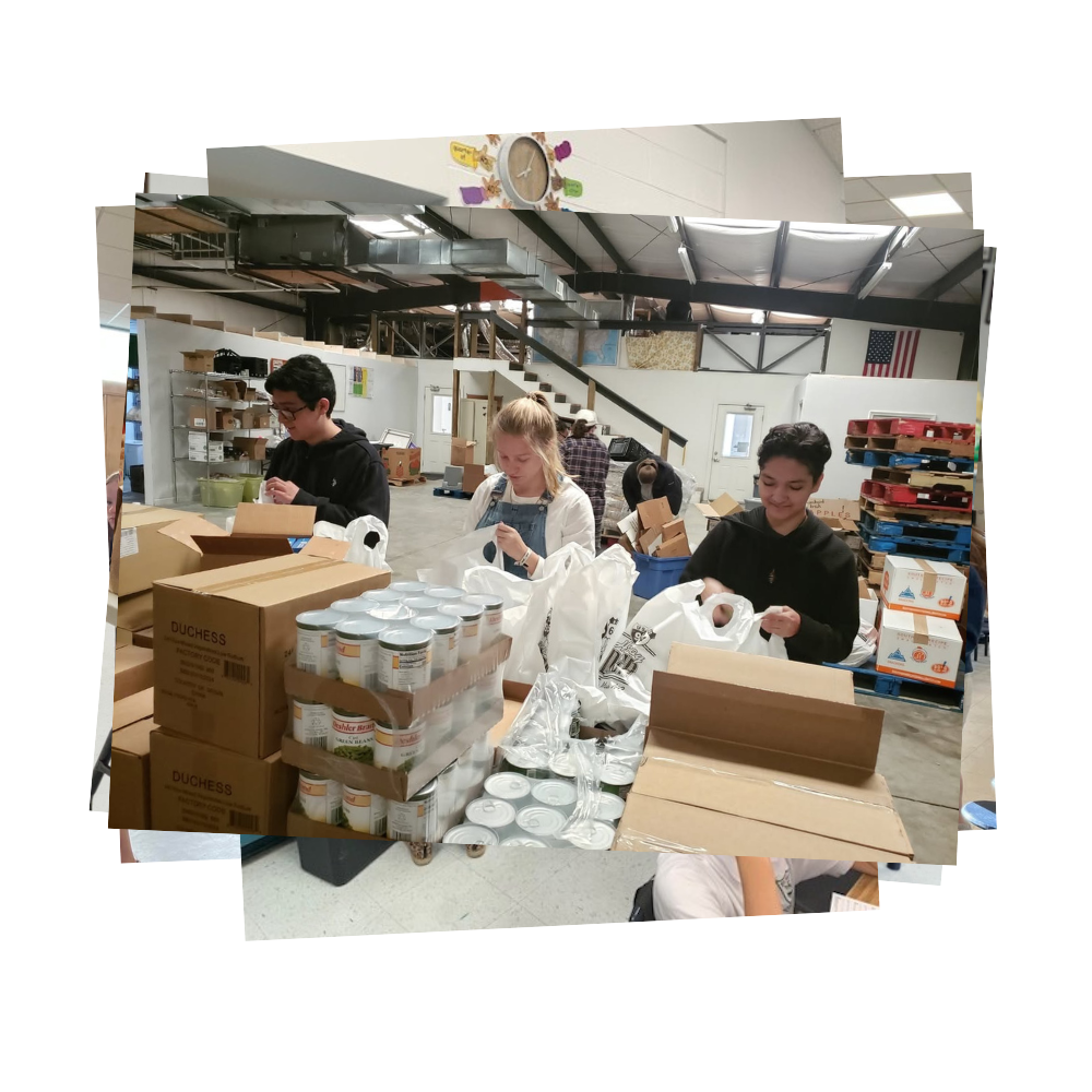 Students sorting through food donations at warehouse