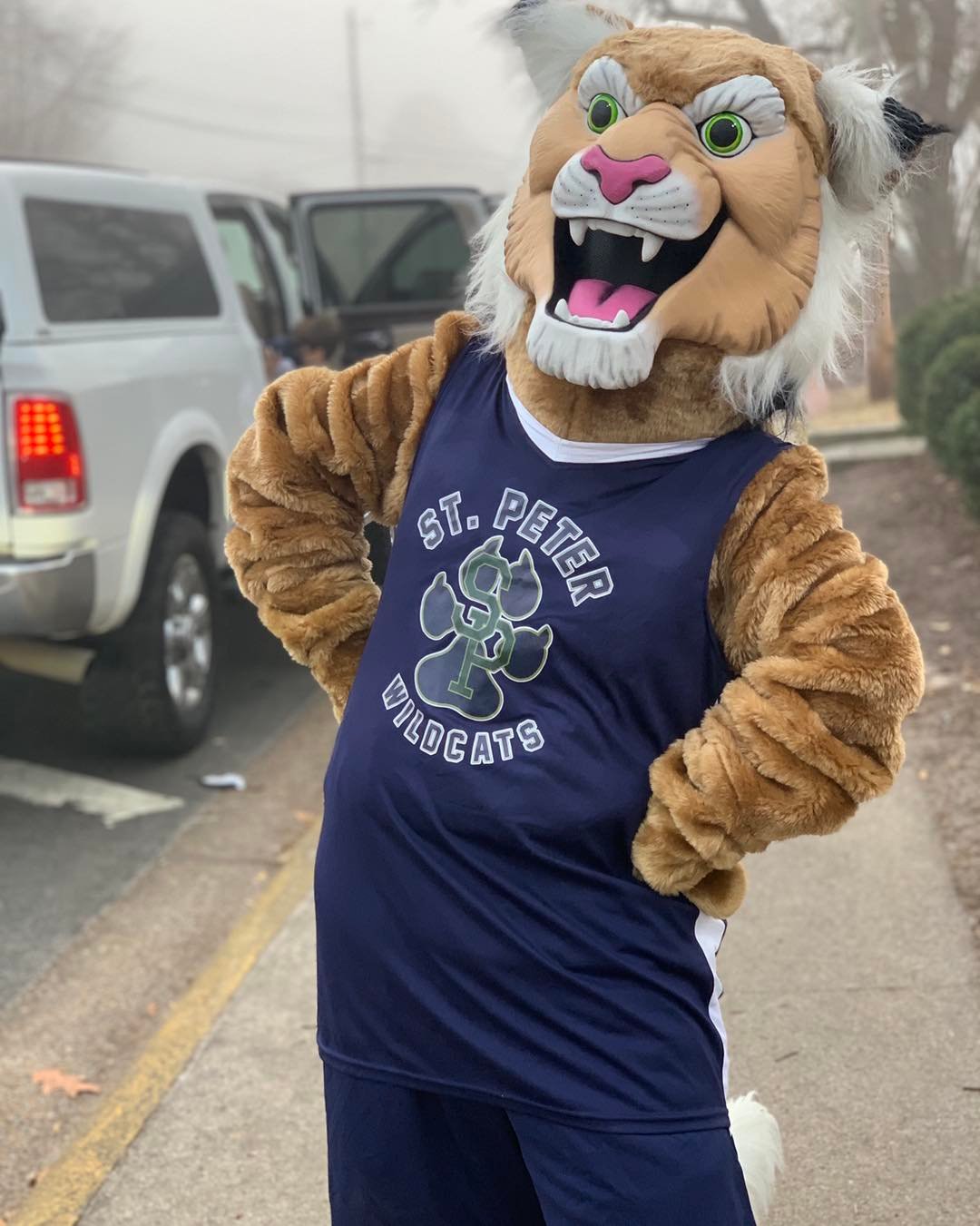 School mascot, Pete the Wildcat, poses outside for a photo