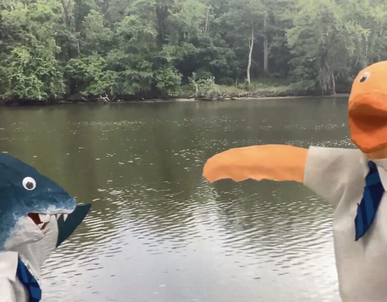 Puppet Videos and Tinkercad Landscapes