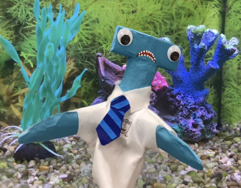 Puppet Videos and Tinkercad Landscapes