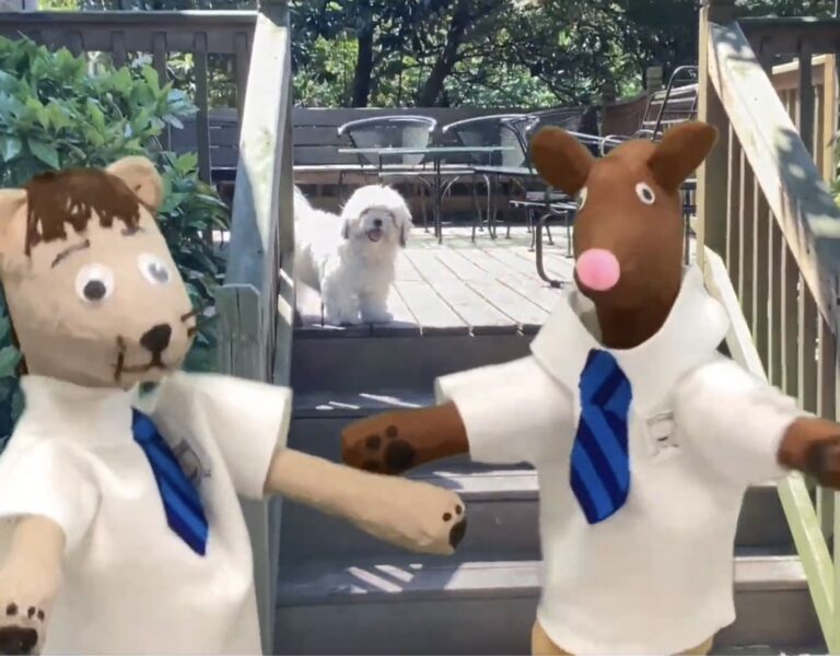 Animal Puppet Videos and Kindergarten Paintings